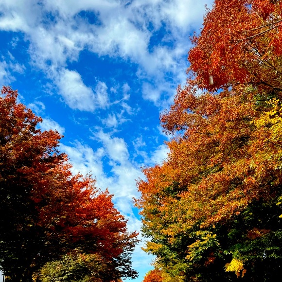 Meet your Posher, Karina - Picture 1 of 1